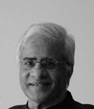 Vivan Sundaram